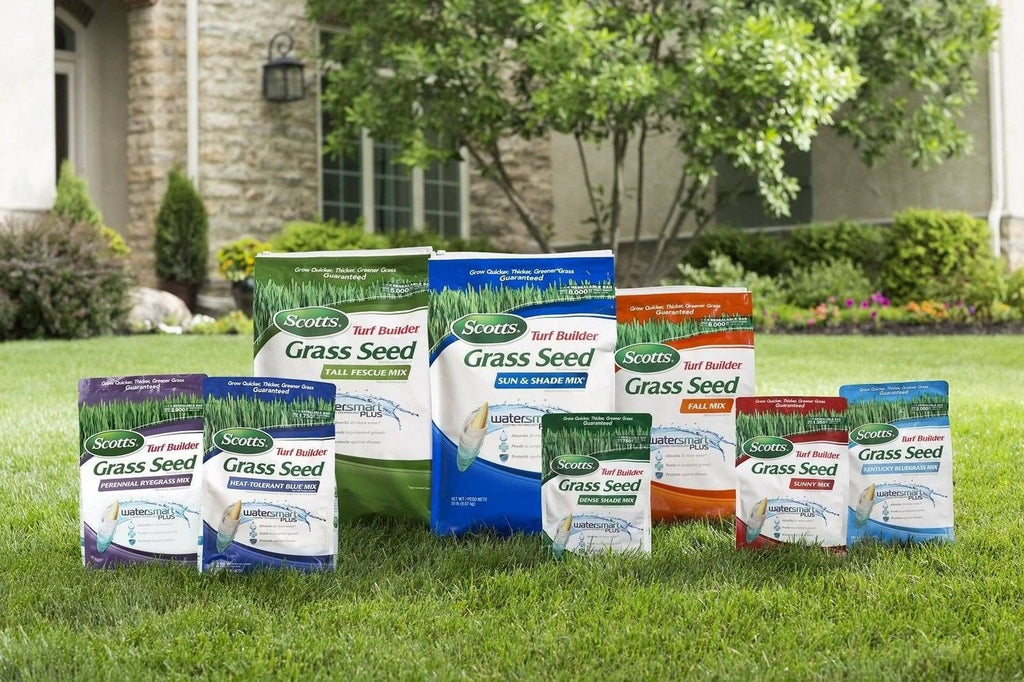 15 Pound Grass Seed G679722