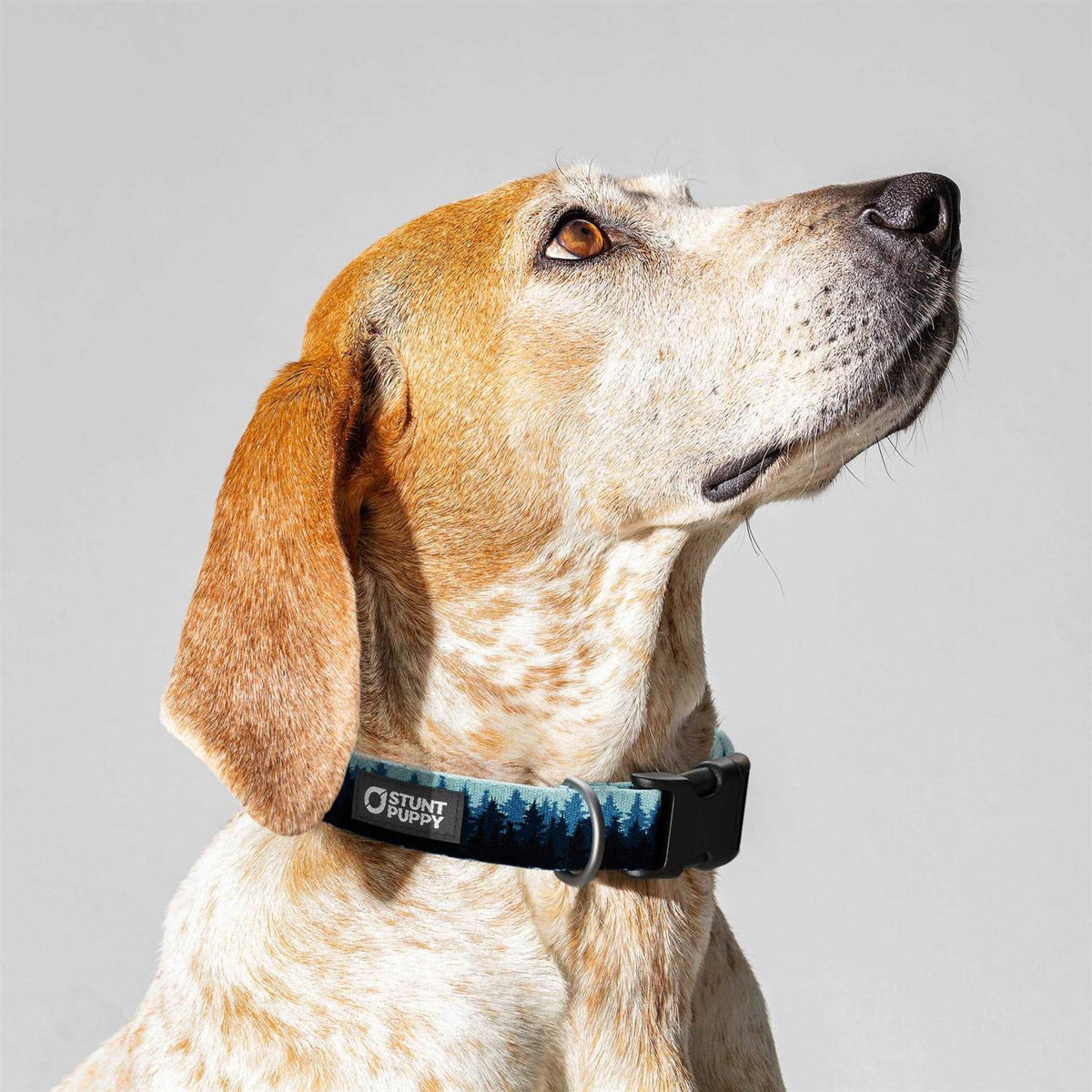 Pines Collar R5598