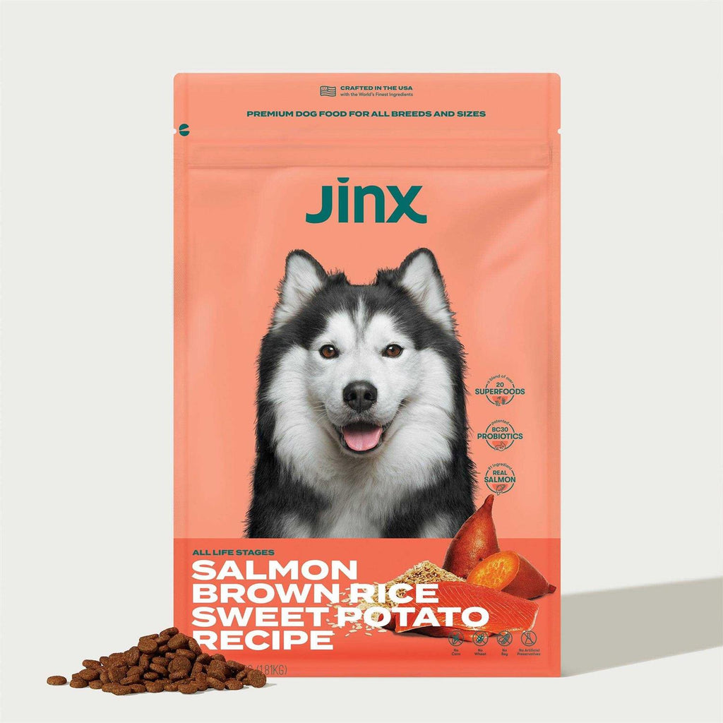 Salmon Brown Rice & Sweet Potato Dry Dog Food F2670