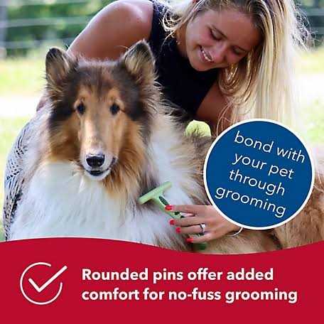 Dog Undercoat Rake V564
