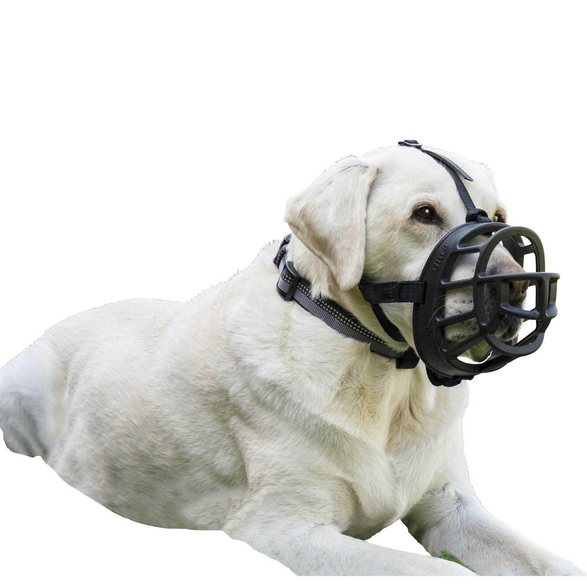 Dog Muzzle Q9117
