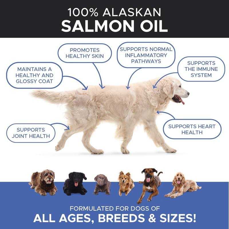 Salmon Oil for Dogs & Cats E439