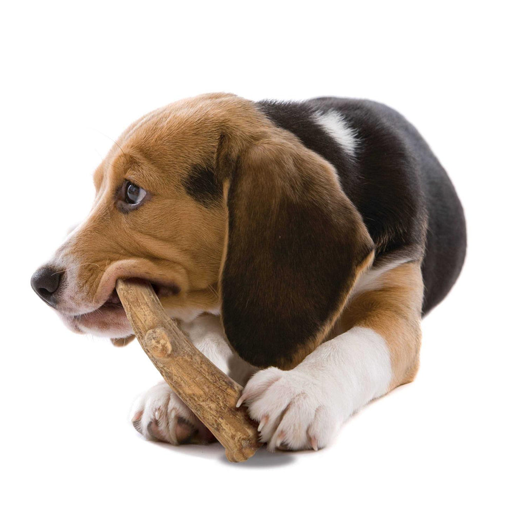 Natural Long Lasting Venison Dog Chew Treats Z759