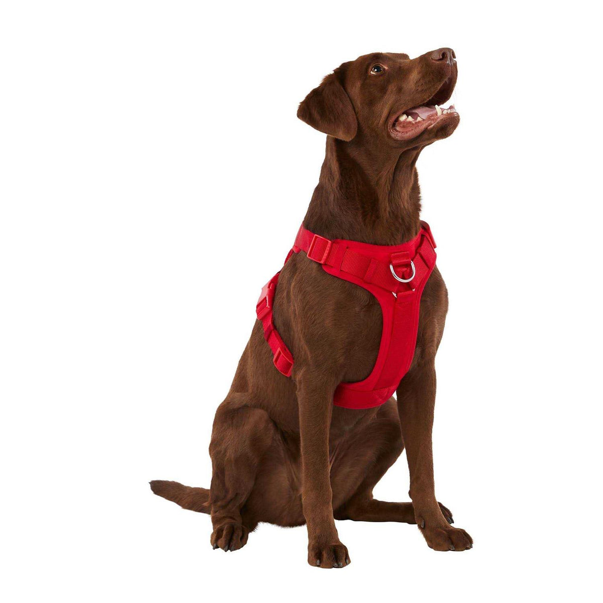 Neoprene Dog Harness L12882