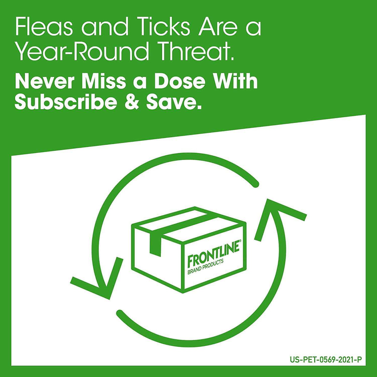 Gold for Cats B587880