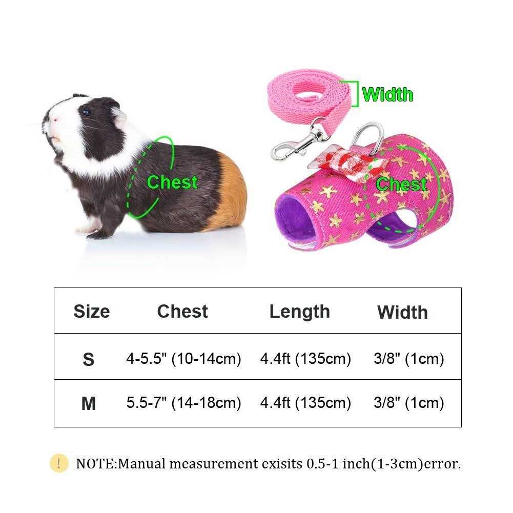 Small Pet Outdoor Walking Harness Vest and Leash Set M581480