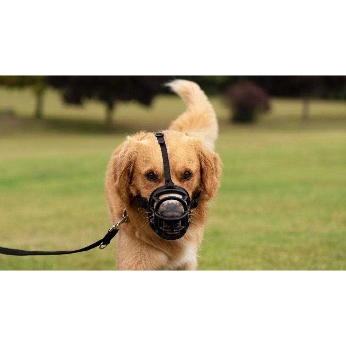 Dog Muzzle Q9117