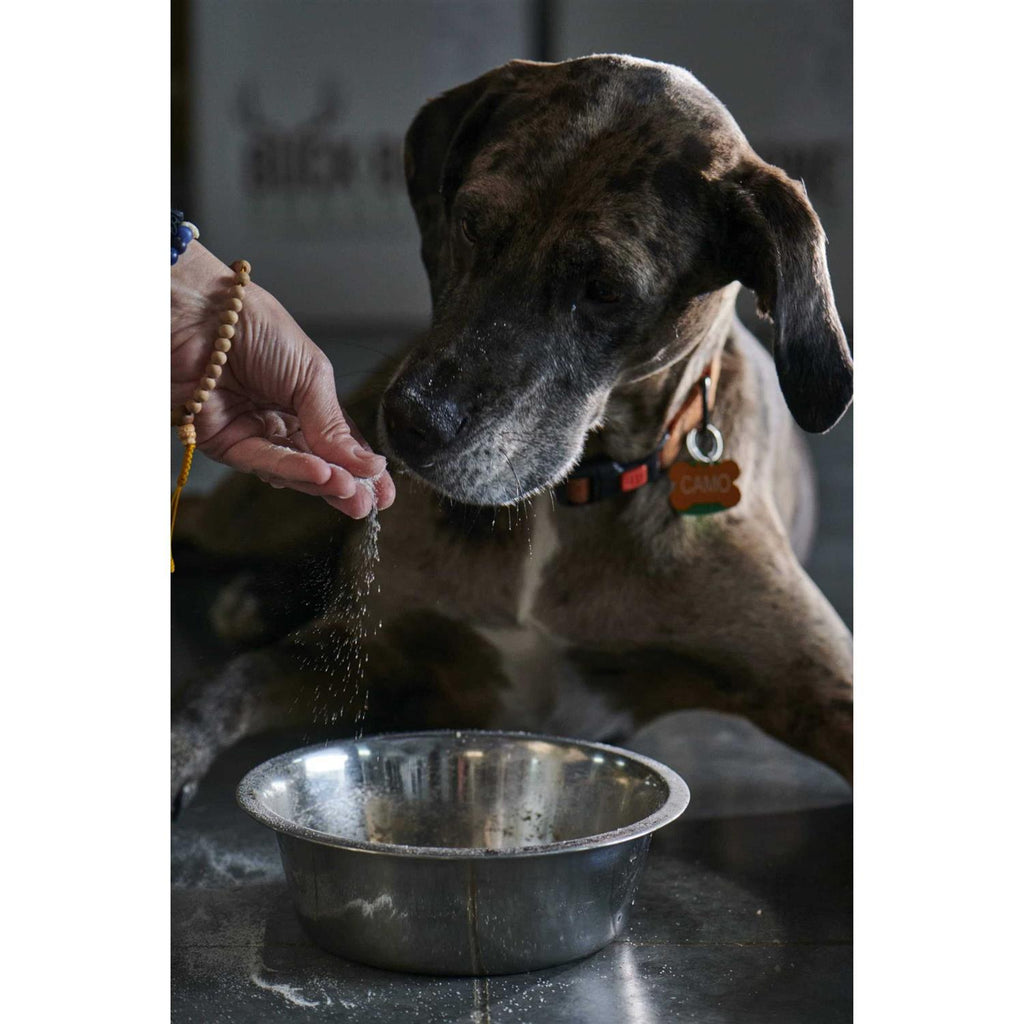 Ground Wild Elk and Deer Antler Powder for Dogs J9595