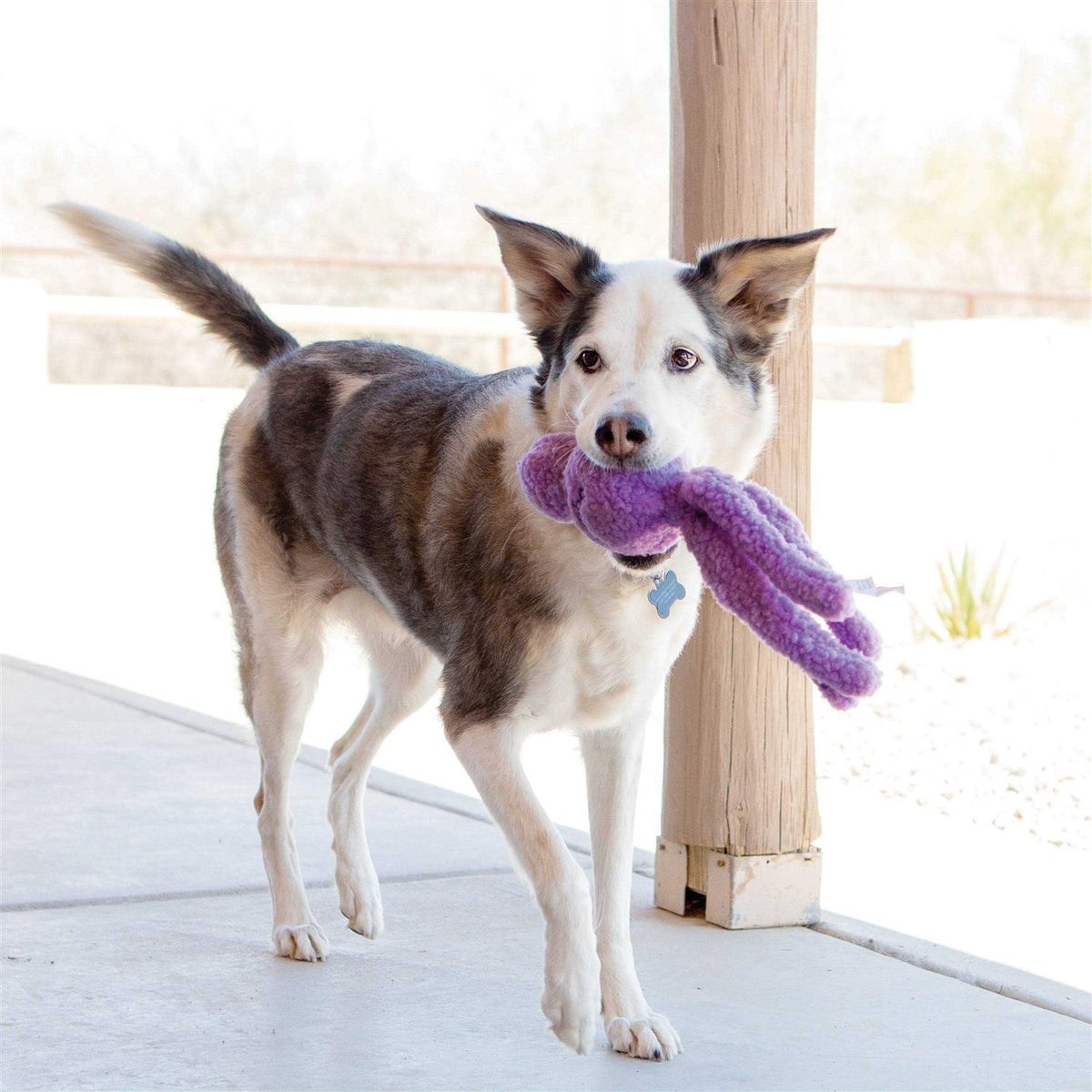 Dog Toy A64040