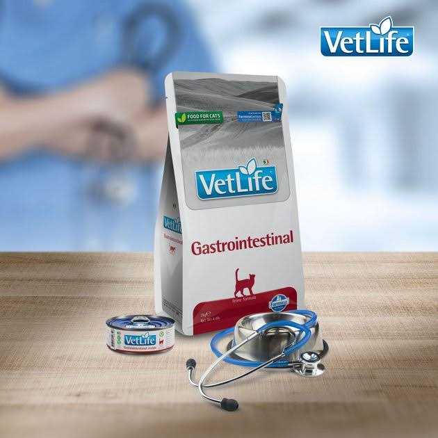Gastrointestinal Cat Food K915030