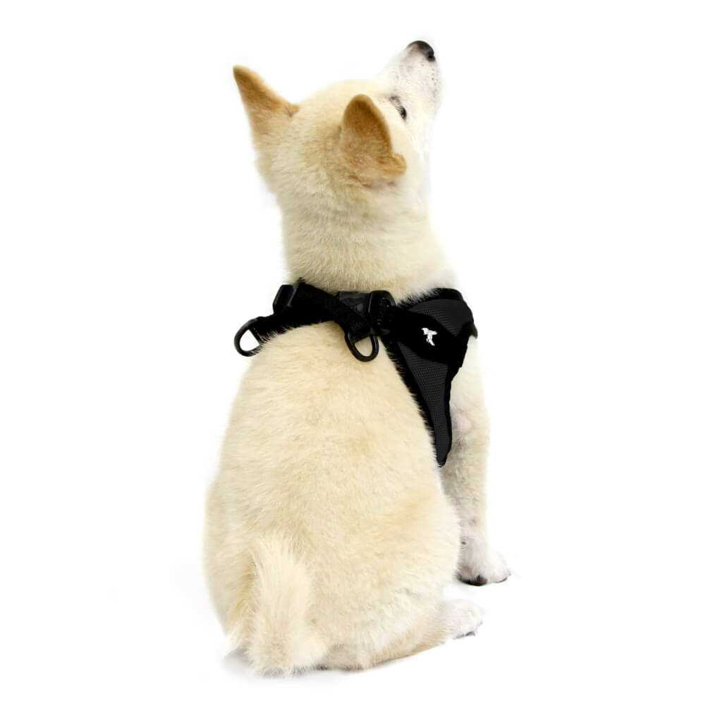 Easy Fit Dog Harness P4867