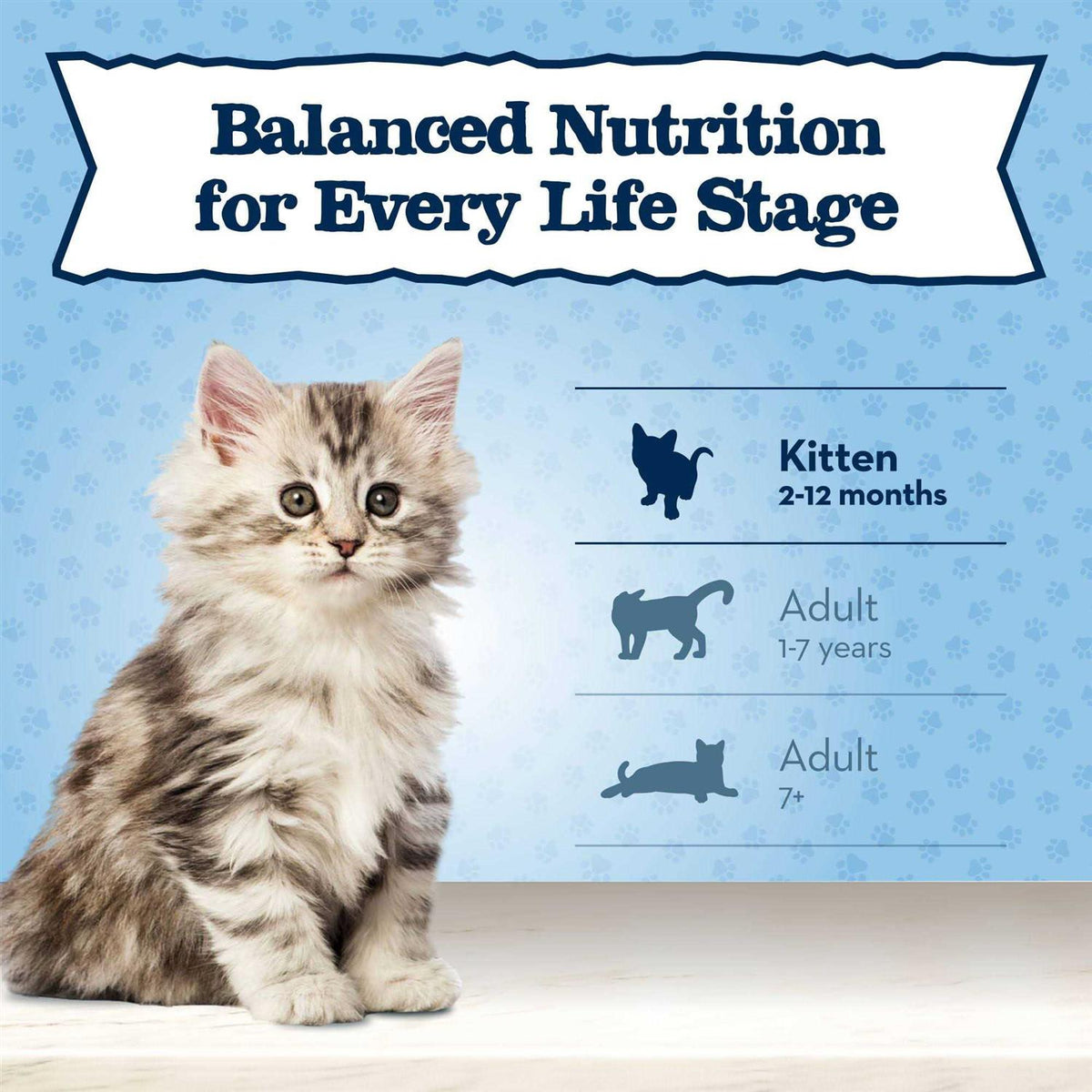 High Protein Natural Dry Kitten Food D594