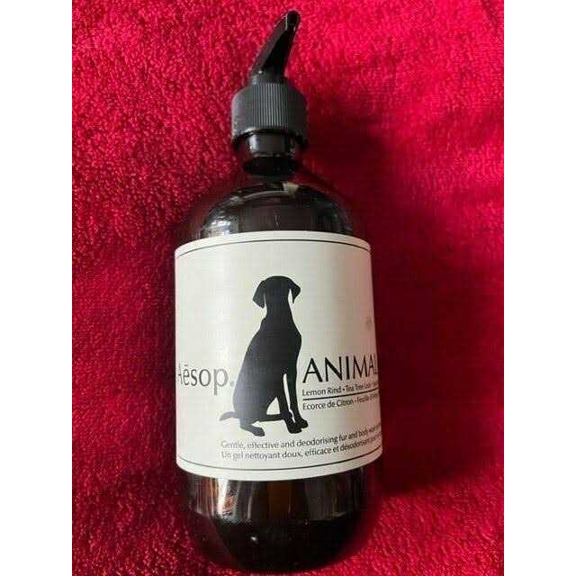 Animal M624985