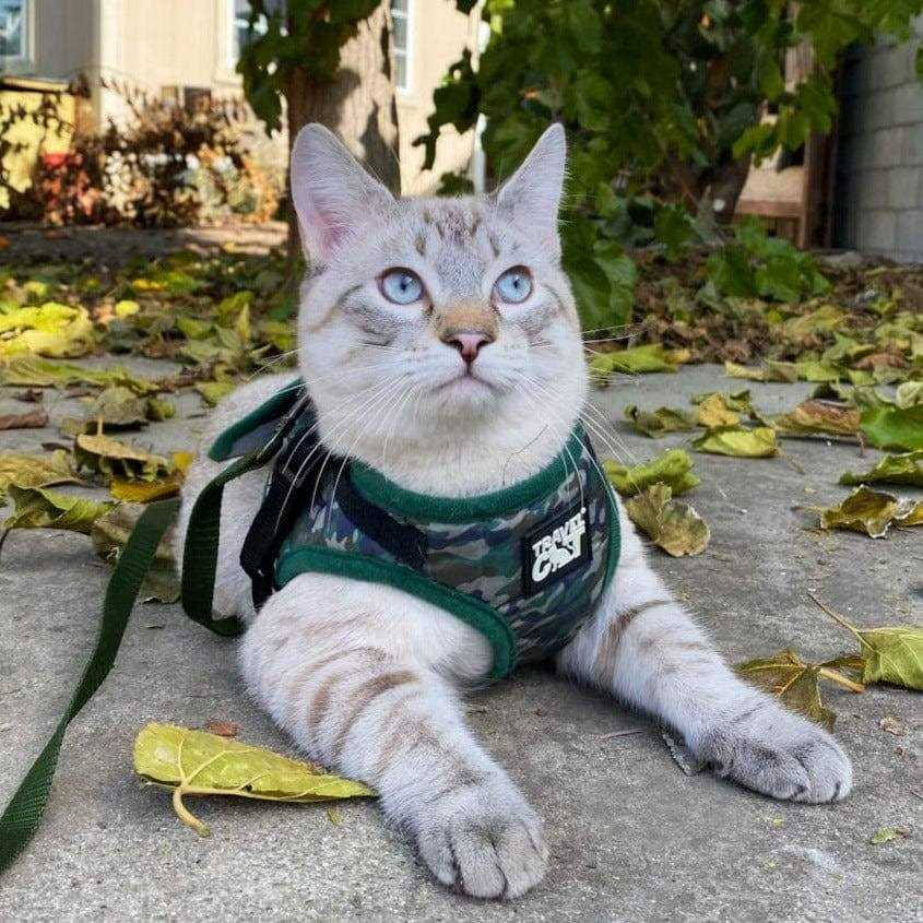 Reflective Cat & Kitten Harness and Leash O757