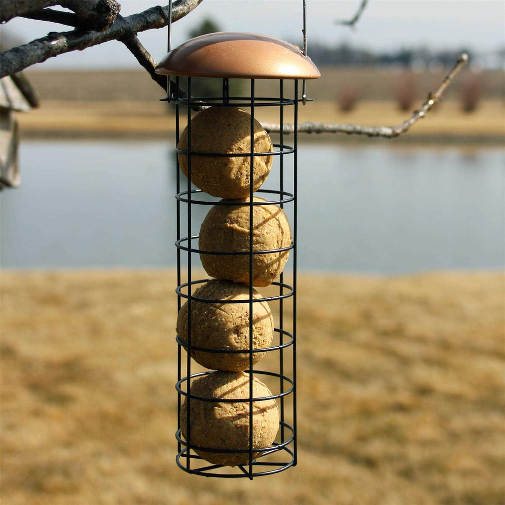 No-Melt Peanut Suet Dough Balls U2314