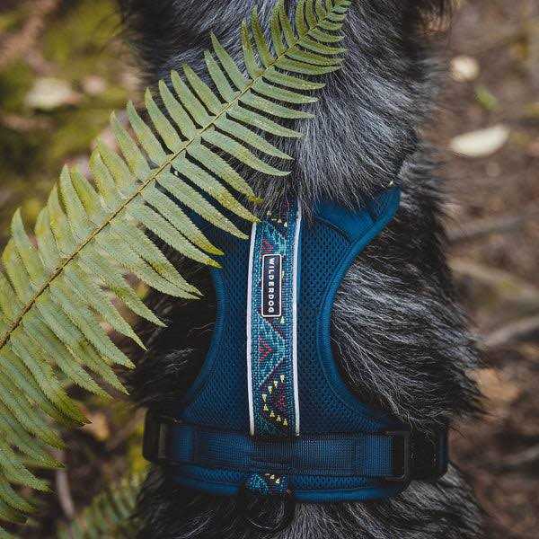 Harness A83943