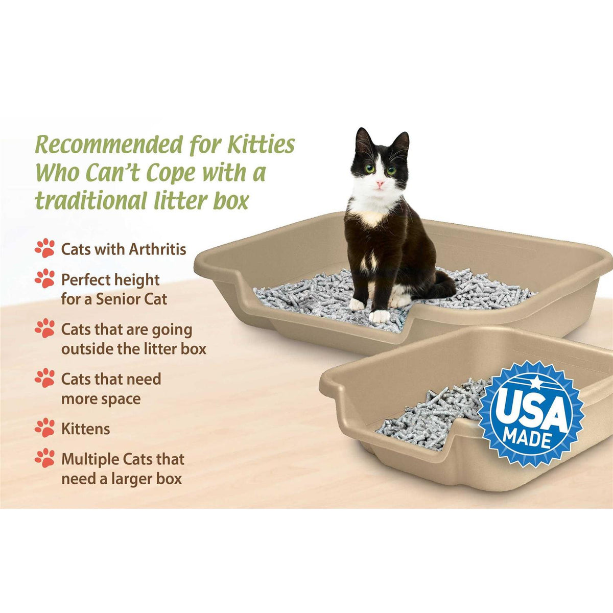 Senior Cat Litter Box C11201