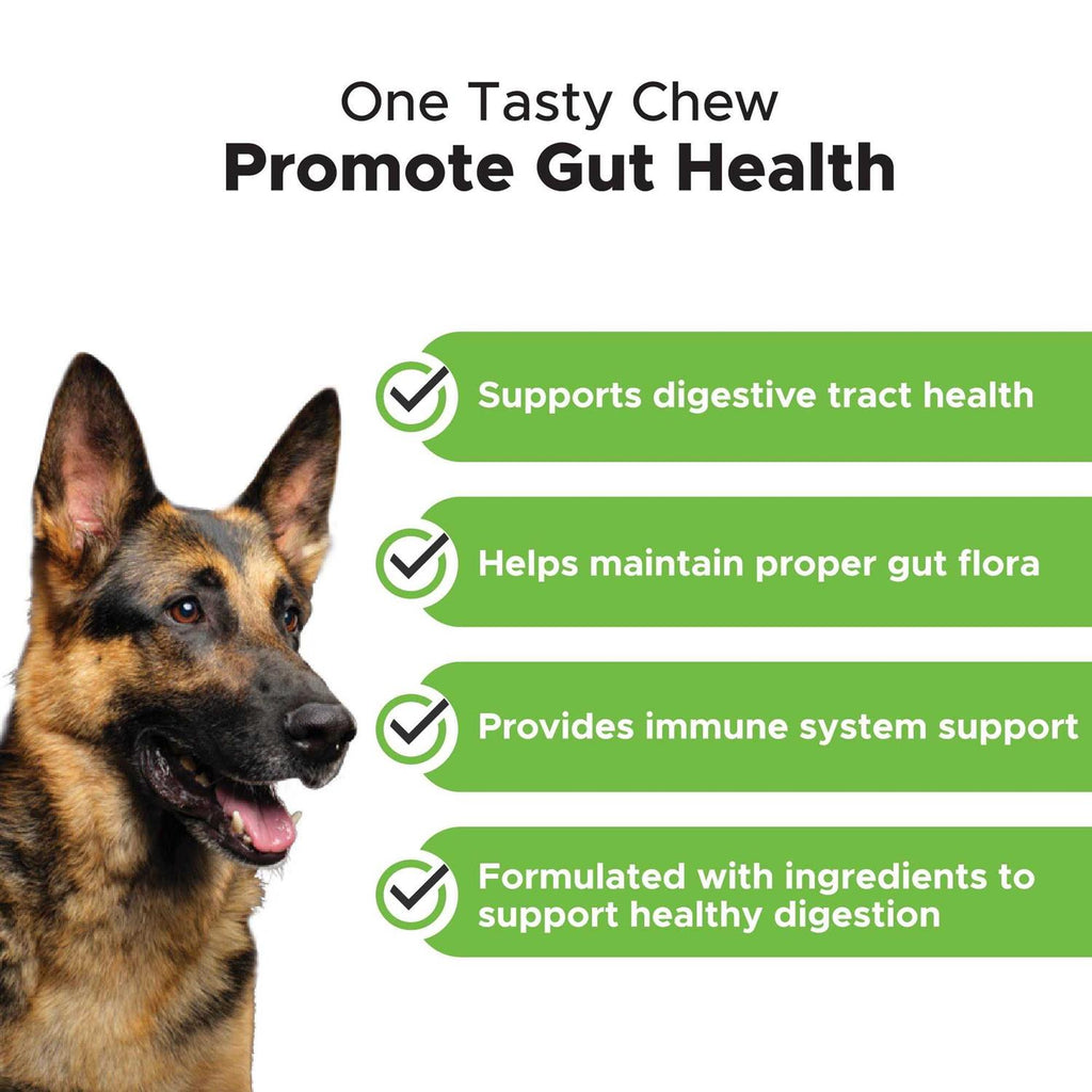 Probiotics Soft Chews H3017