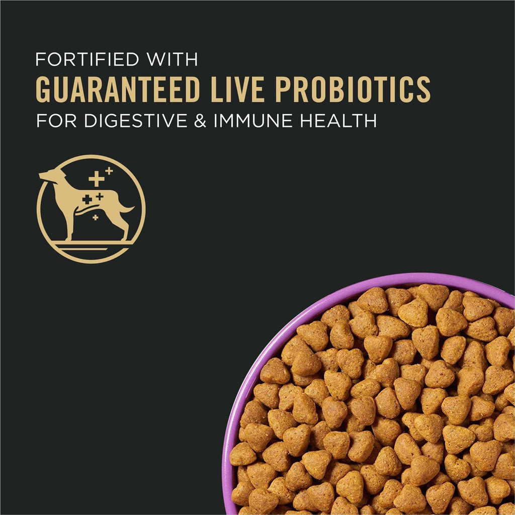 Dry Dog Food C832