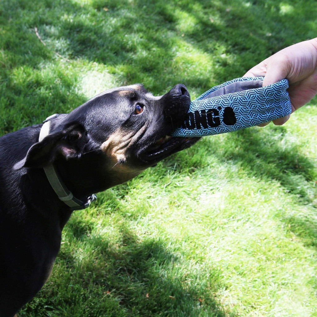 Ring Dog Toy N12525