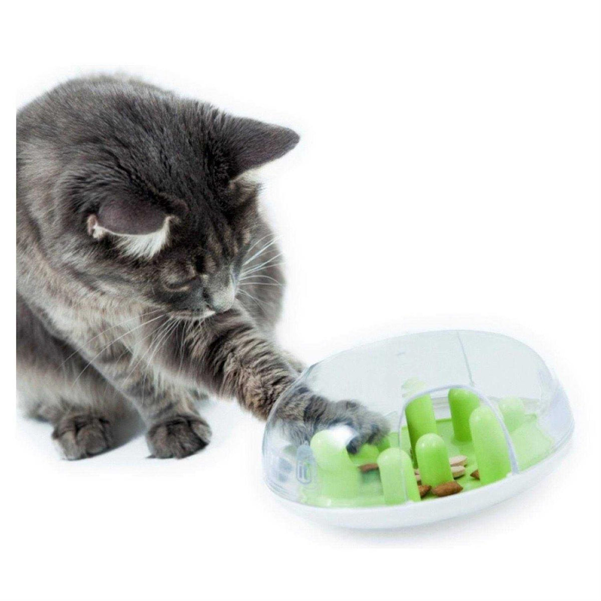 Cat Treat Maze X306392