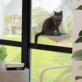 Cat Window Perch with Suction Cups O5960