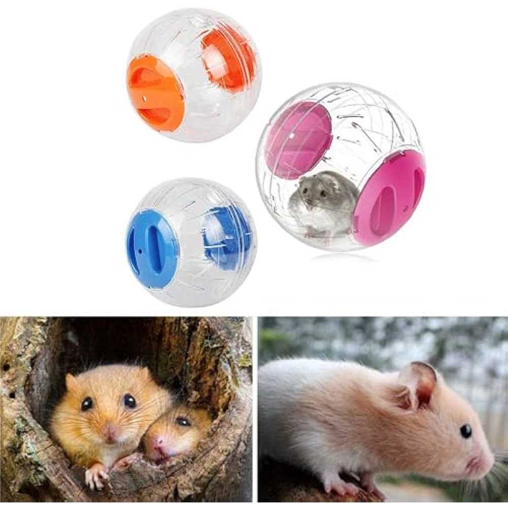 Hamster Exercise Ball Transparent D61098