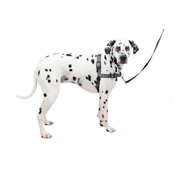 Easy Walk Harness W8074