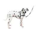 Easy Walk Harness W8074