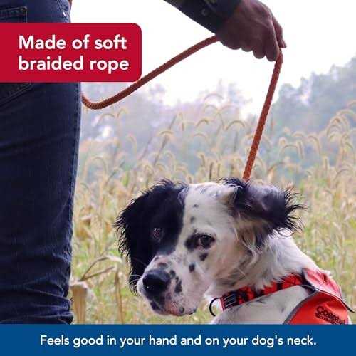Braided Rope Dog Slip Leash F826079