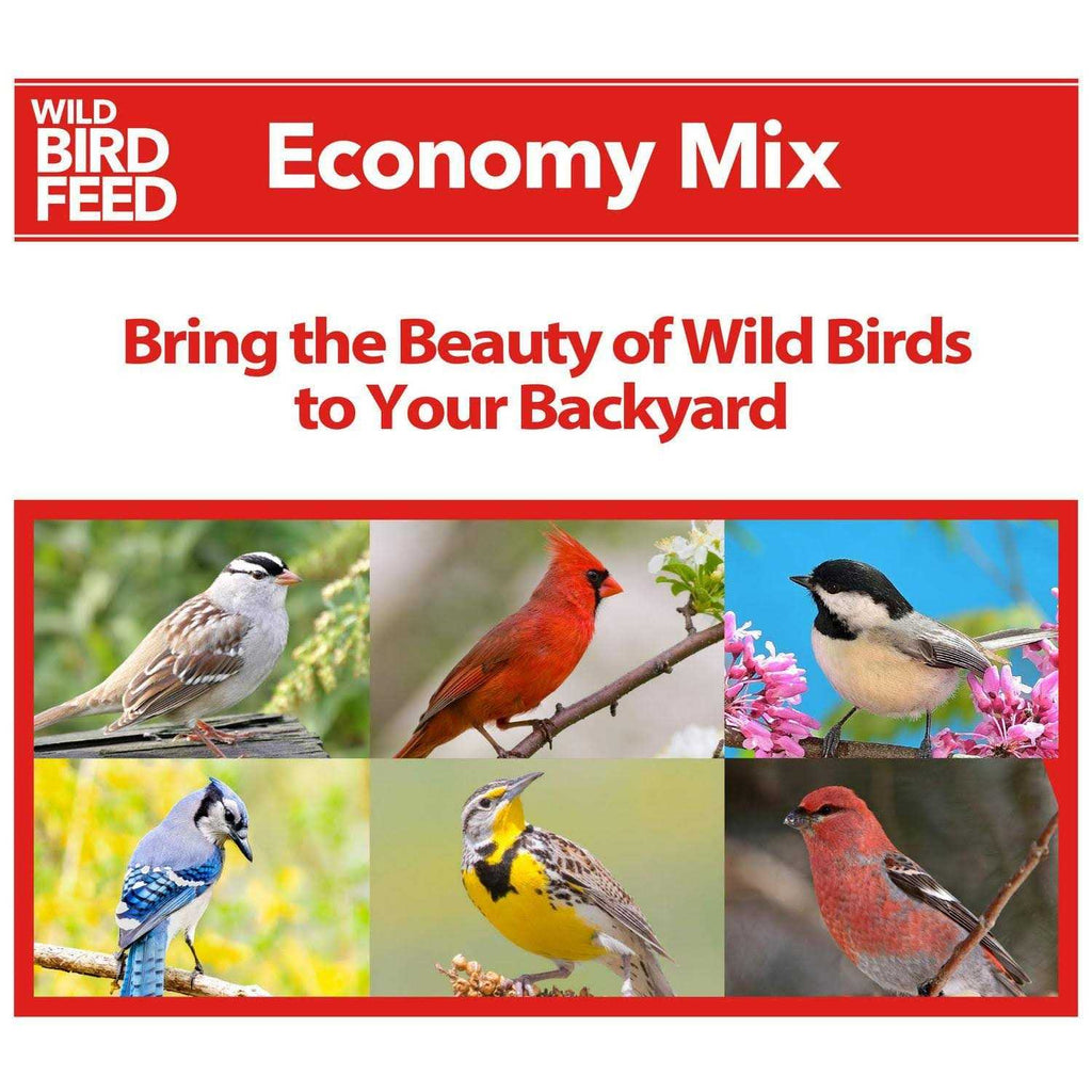 Wild Bird Feed J55843