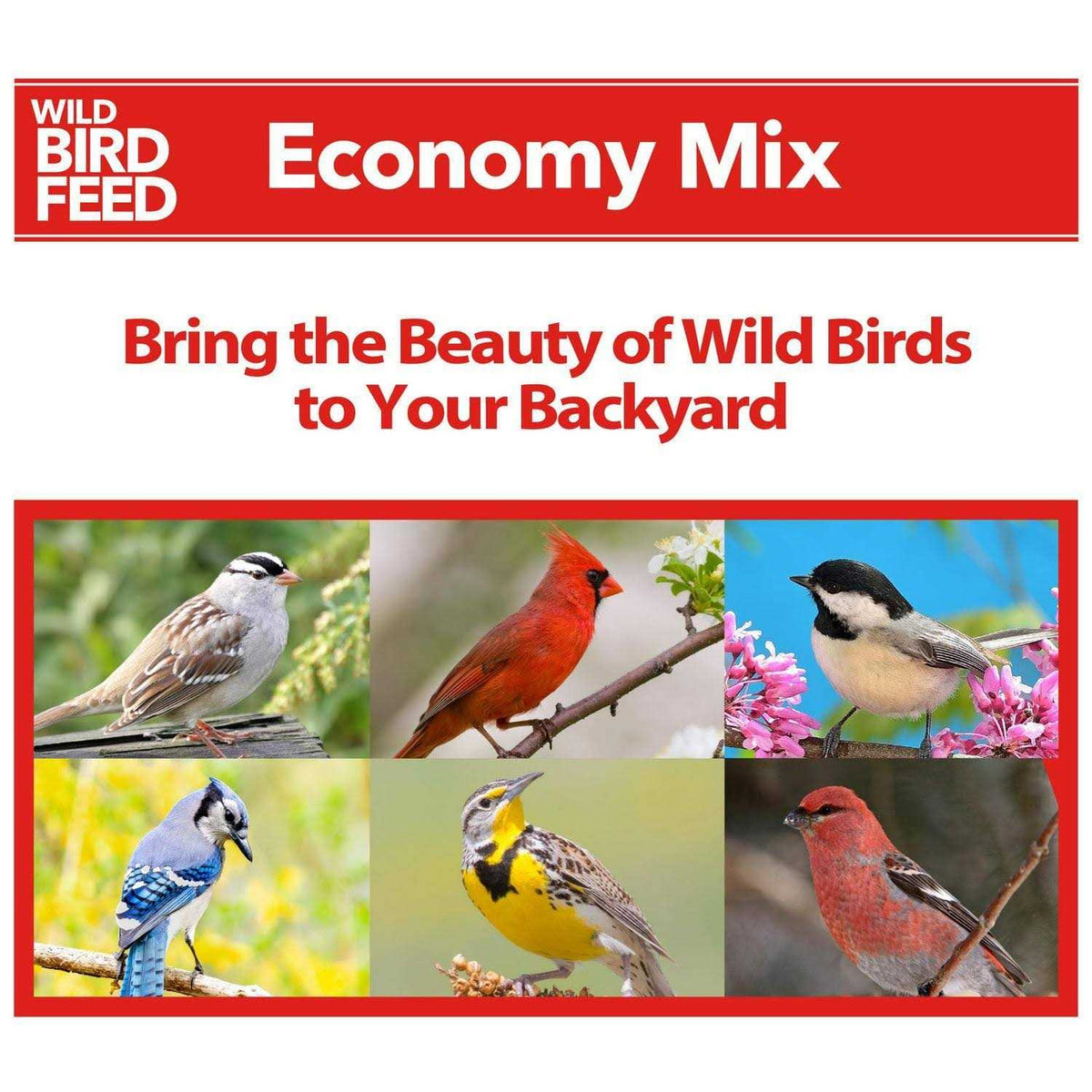 Wild Bird Feed J55843