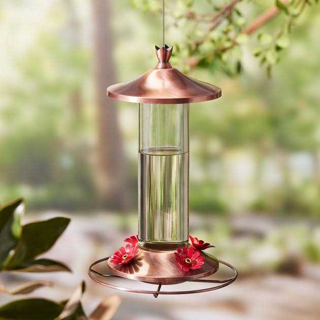 Hummingbird ElectroNectar T1819