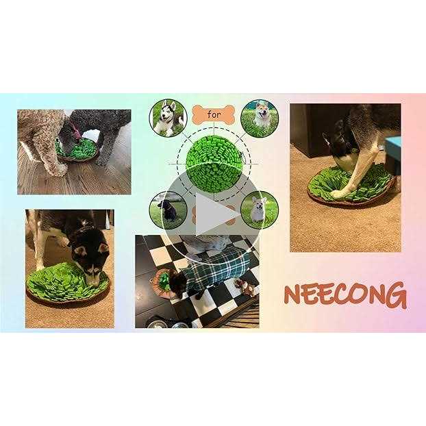 Pet Snuffle Mat M435