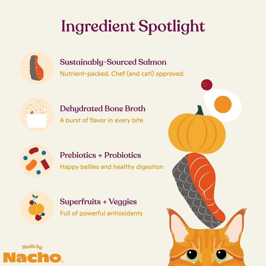 Salmon & Pumpkin Recipe Dry Cat Food H420