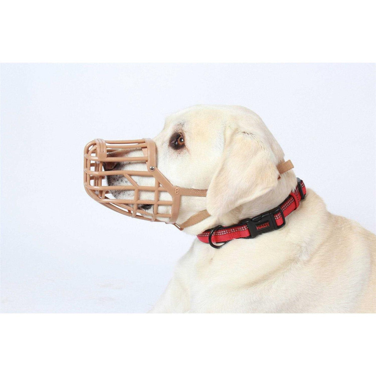 Muzzle O32272