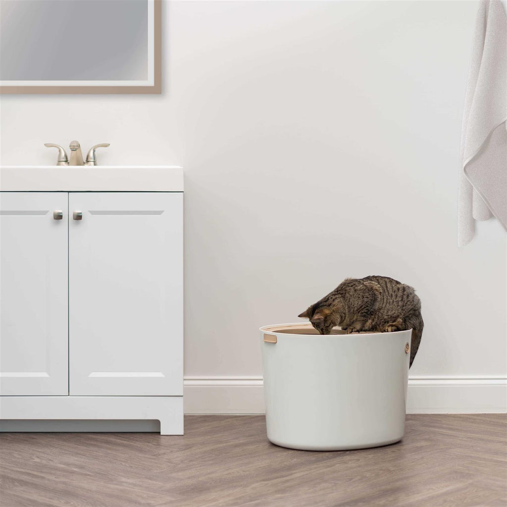 Top Entry Cat Litter Box with Scoop C178156