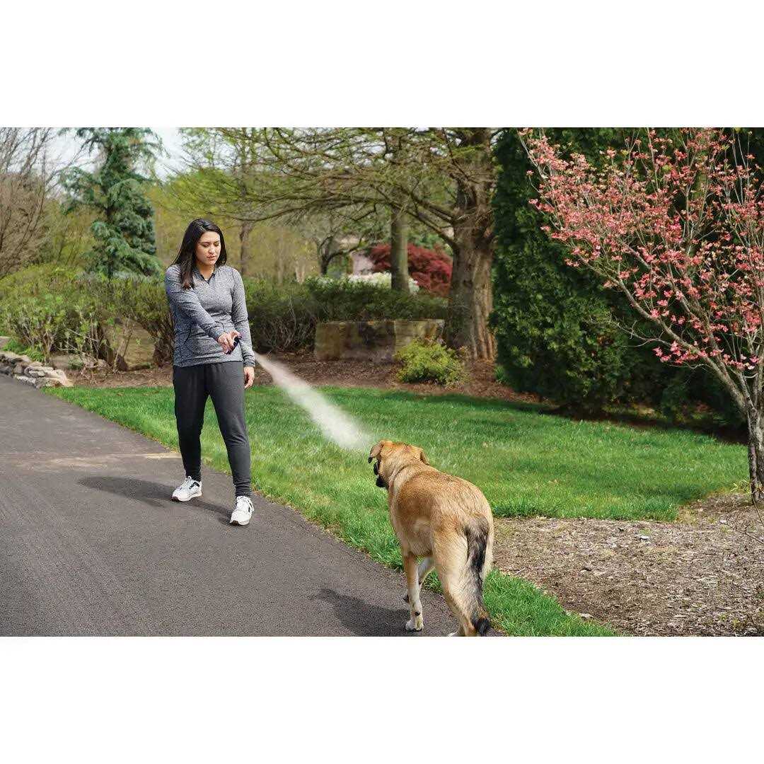 Animal Deterrent Spray P58392