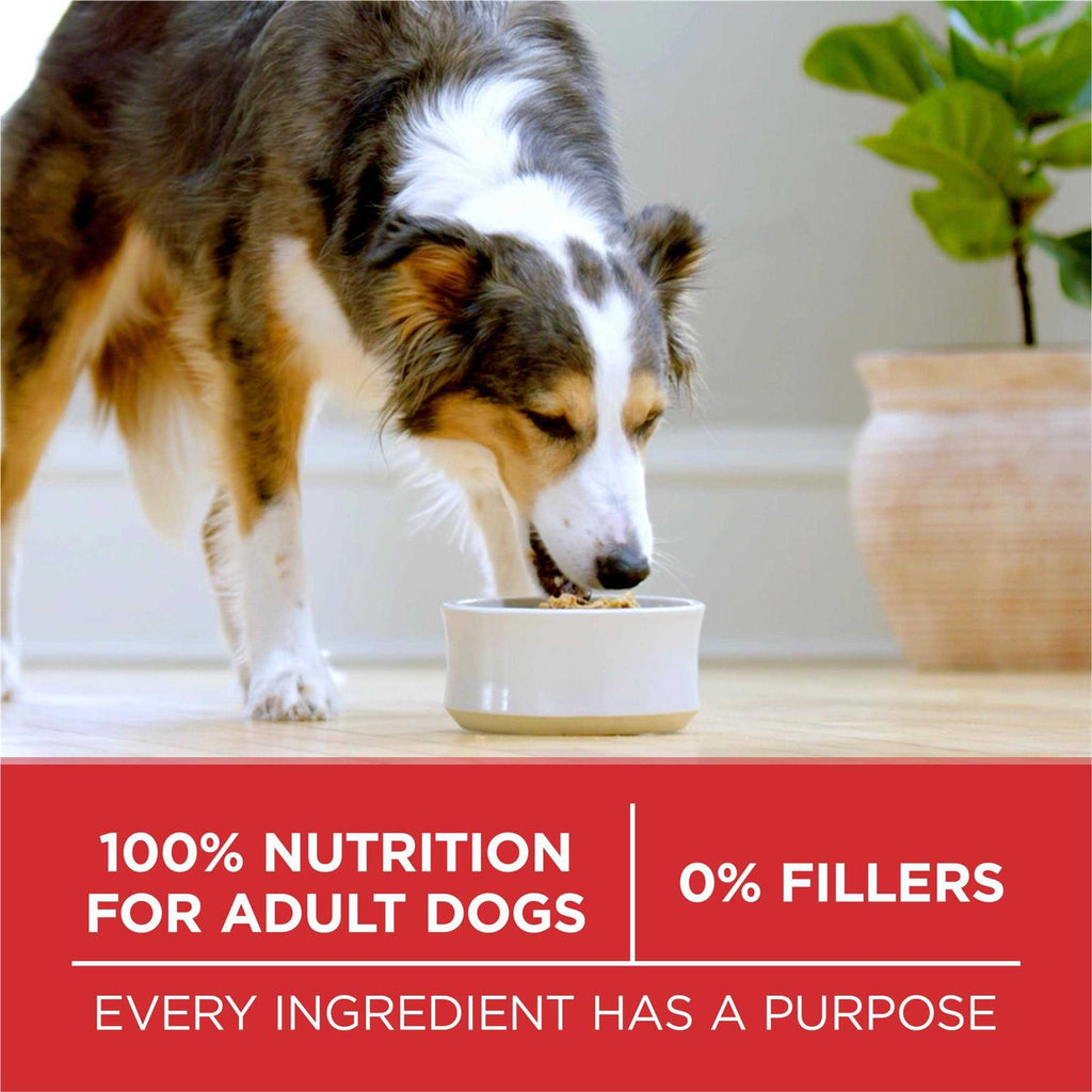 Beef & Rice Formula Dry Dog Food K678