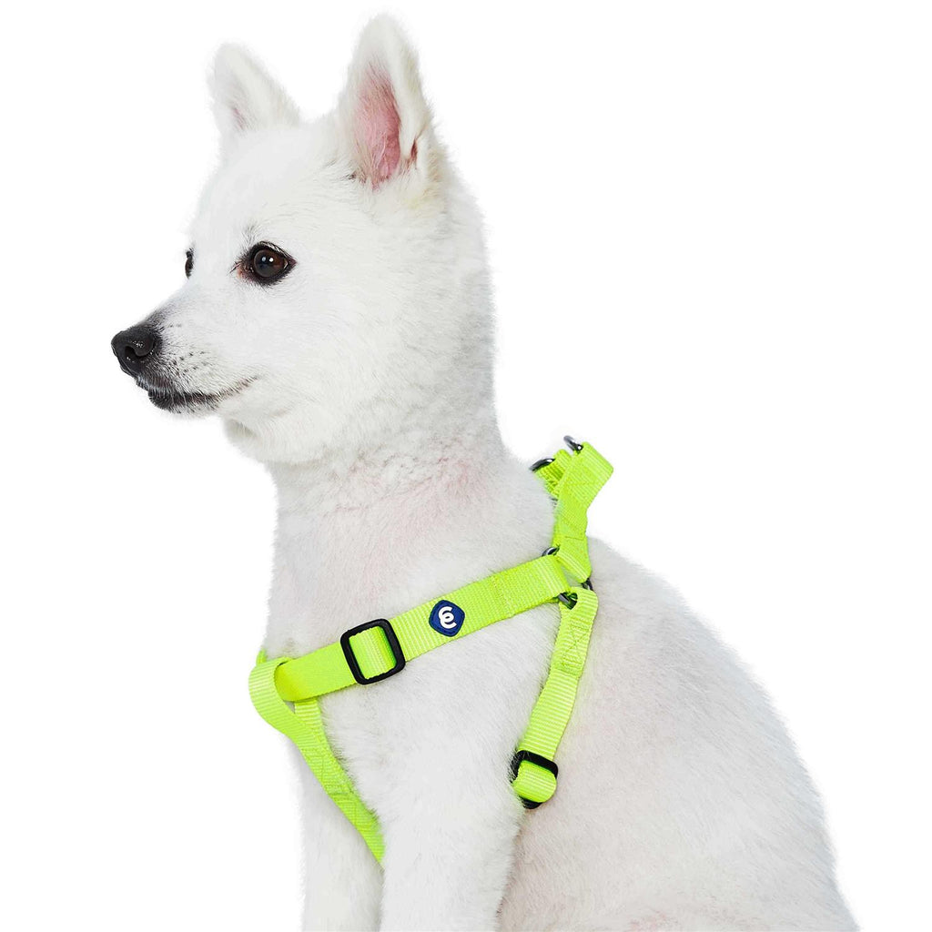 Classic Solid Nylon Step-In Dog Harness B412