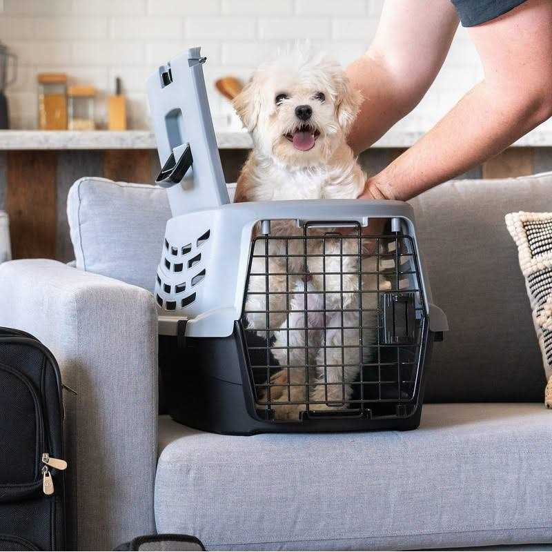 Small Pet Travel Carrier with Front and Top Access U924837