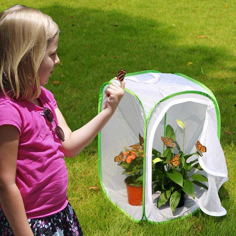 Insect and Butterfly Habitat Cage Terrarium Y7447