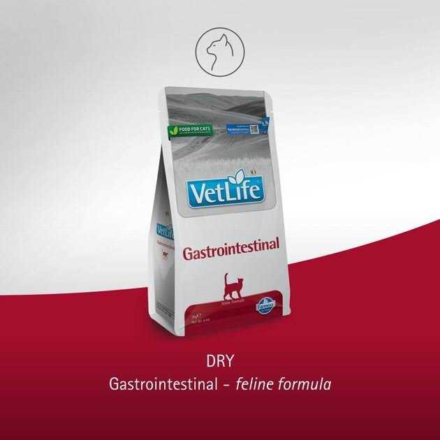 Gastrointestinal Cat Food K915030