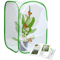 Insect and Butterfly Habitat Cage Terrarium Y7447