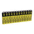 Zinc Chloride Batteries 24 Pack C26894