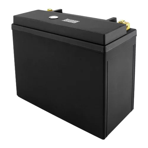Lithium Ion Sealed Battery High CCA R66662