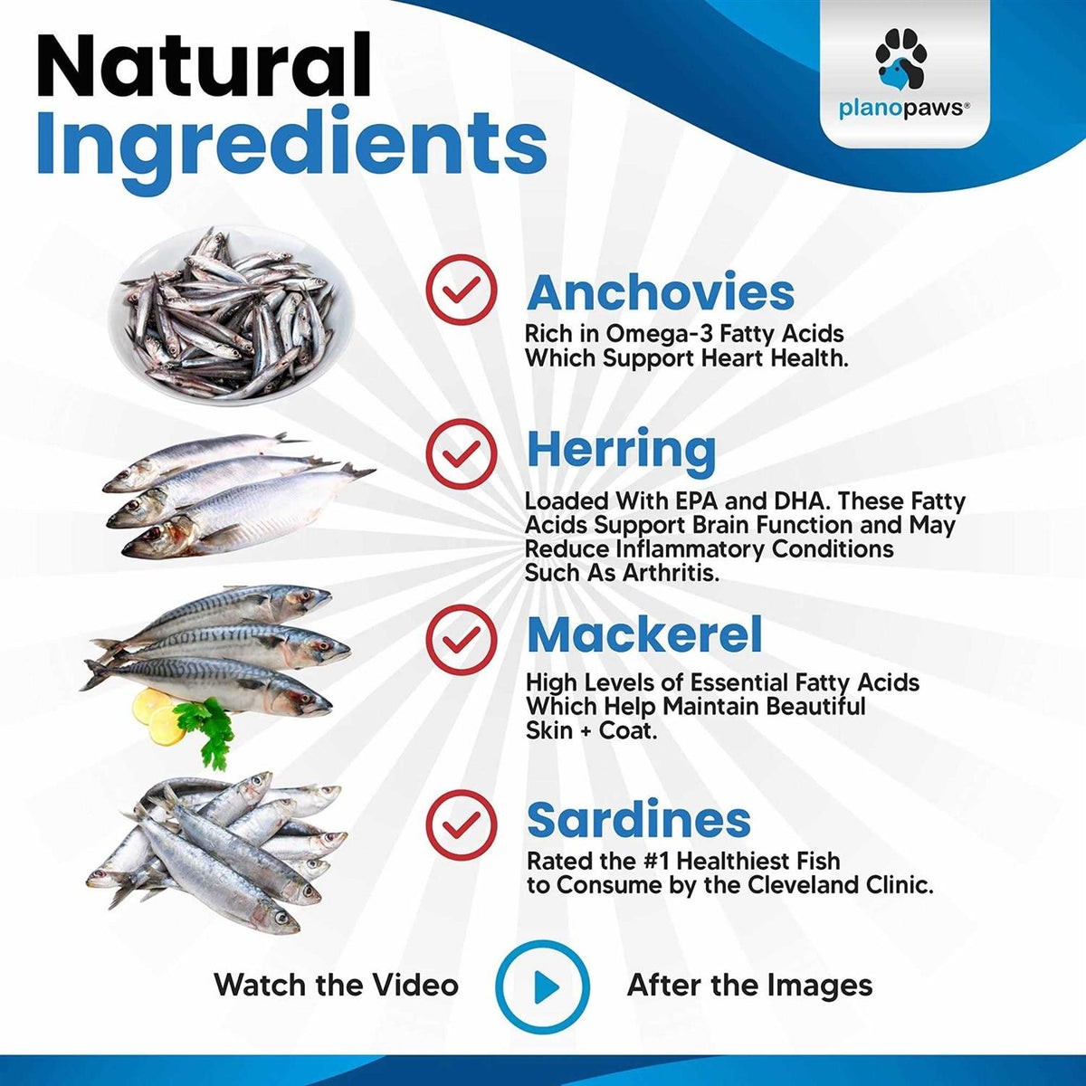 Omega 3 Fish Oil for Cats C769822