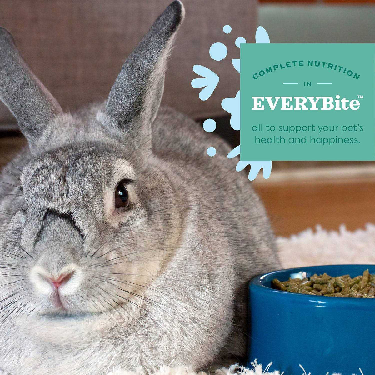 Senior Rabbit Food U571