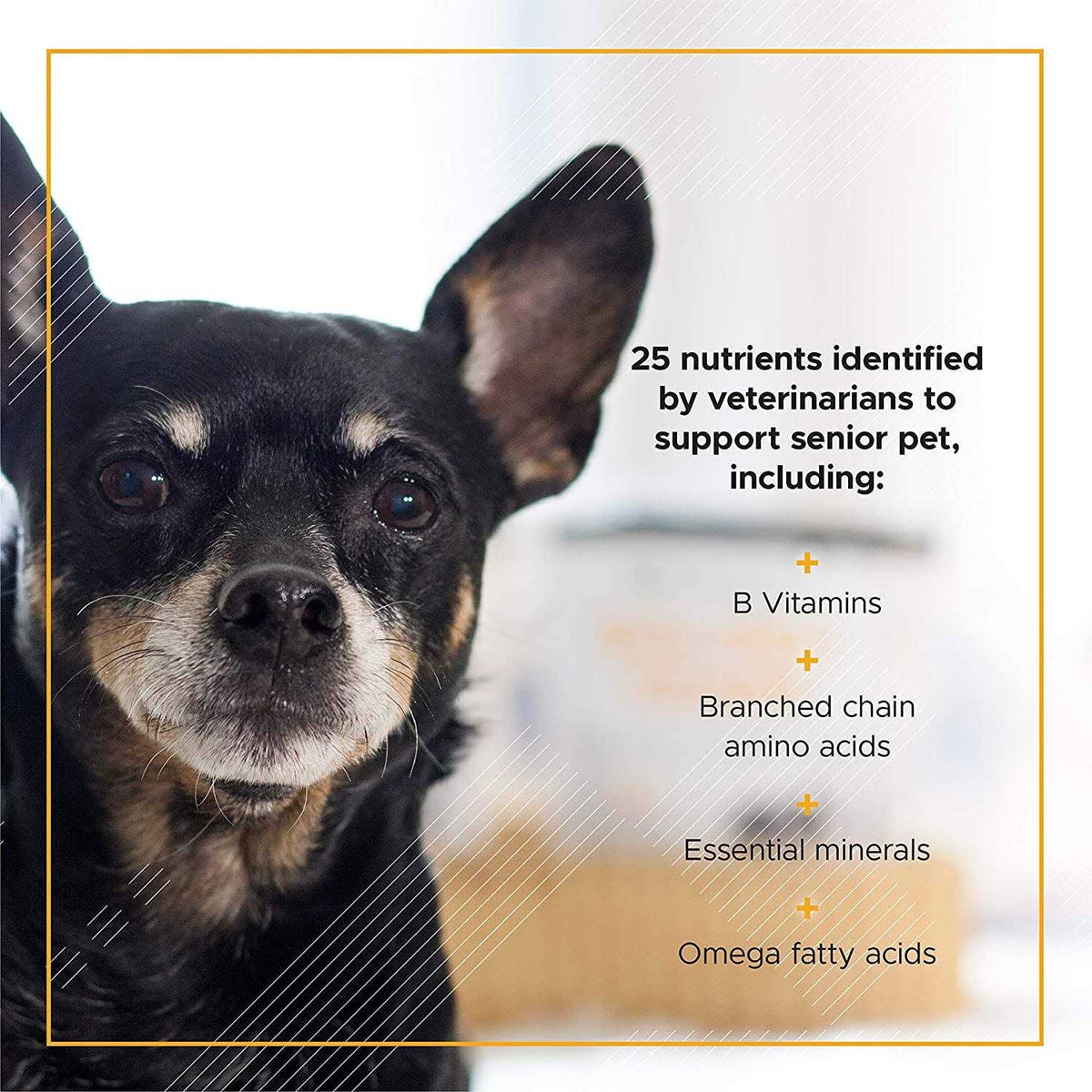 Senior Dogs Multivitamin D3634