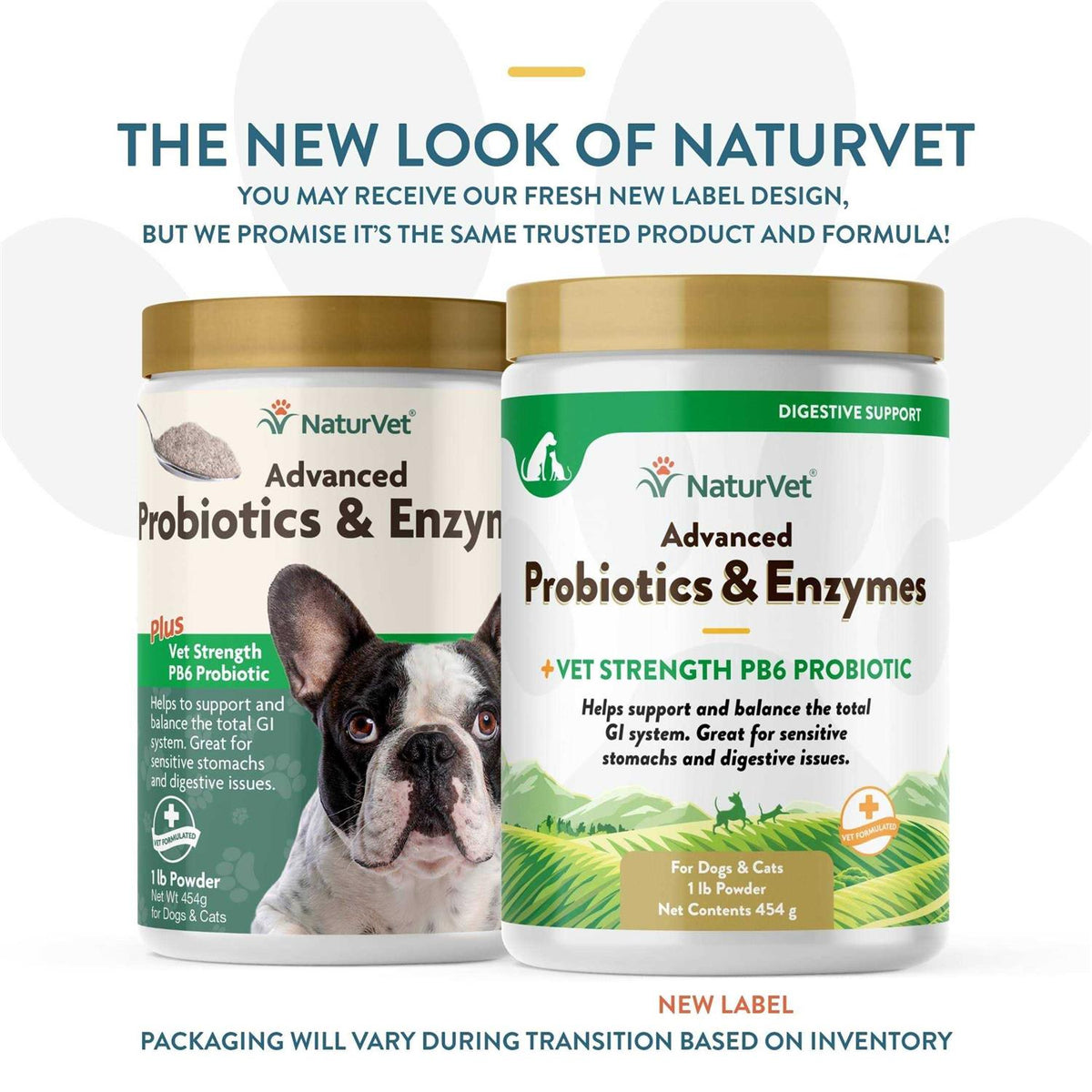 Probiotics Enzymes P551